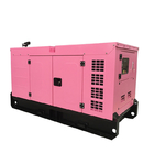 Brushless Self Exciting 25KW 30KVA 4 Cylinder Fawde Diesel Generator